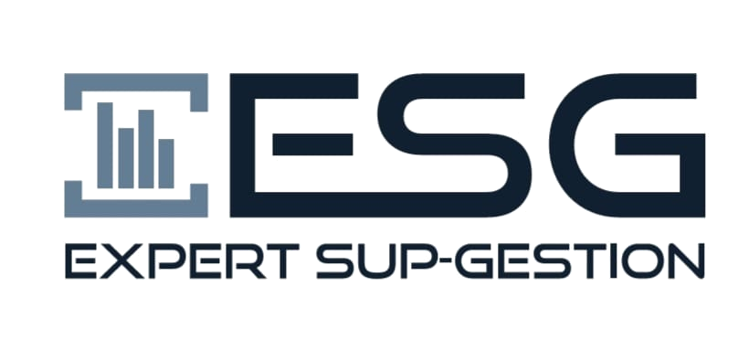 STE EXPERT SUP GESTION